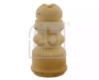 febibilstein-23418
