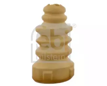 febibilstein-23444