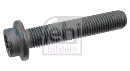 febibilstein-23509
