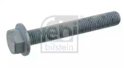 febibilstein-23517