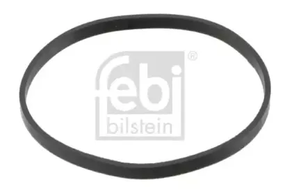 febibilstein-23661