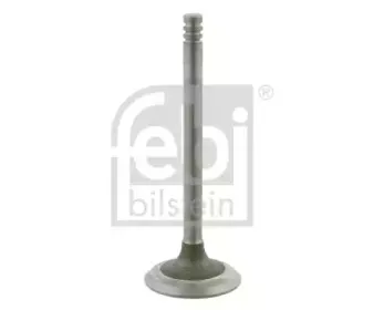 febibilstein-23956