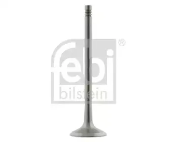febibilstein-24161