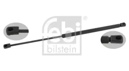 febibilstein-24325