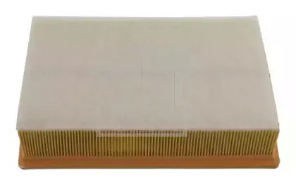 febibilstein-24406