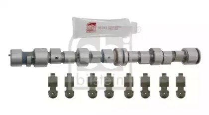 febibilstein-24549