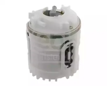 febibilstein-24871