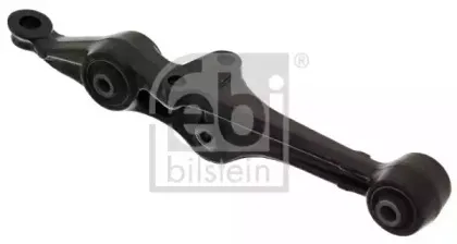 febibilstein-24971