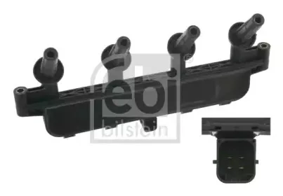 febibilstein-24996