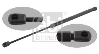 febibilstein-25311