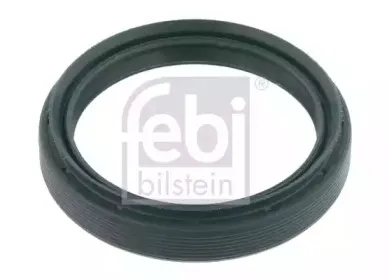 febibilstein-26286