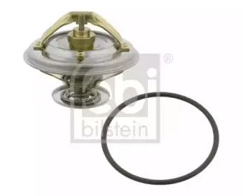 febibilstein-26311
