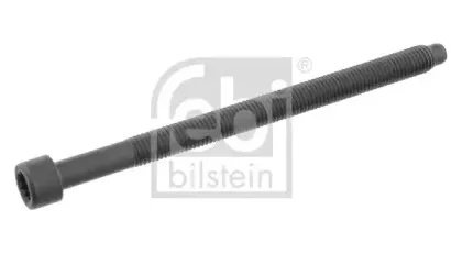 febibilstein-26420