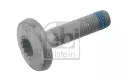 febibilstein-26475