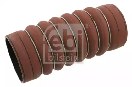 febibilstein-26814
