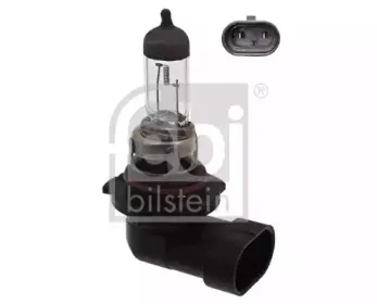 febibilstein-26975