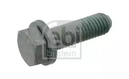 febibilstein-27075