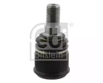 febibilstein-27145