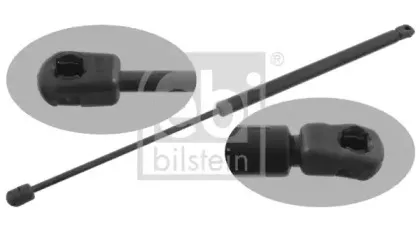 febibilstein-27655