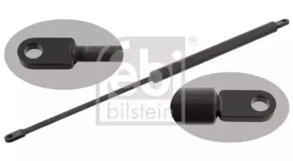 febibilstein-27678