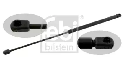 febibilstein-27692