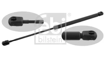 febibilstein-27694