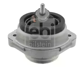 febibilstein-27728