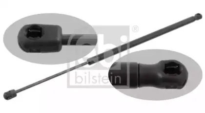 febibilstein-27757