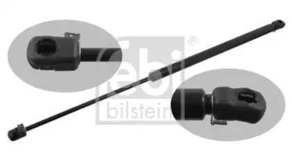 febibilstein-27769