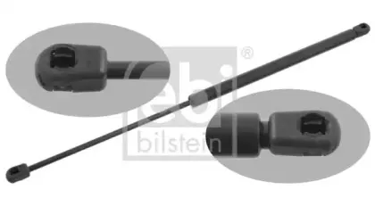 febibilstein-27782