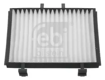 febibilstein-27833