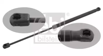 febibilstein-27891