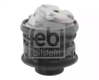 febibilstein-28012