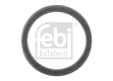 febibilstein-28353
