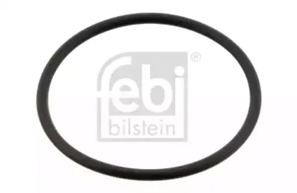 febibilstein-28357