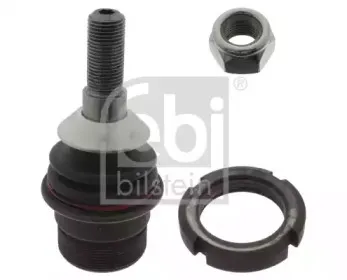 febibilstein-28365