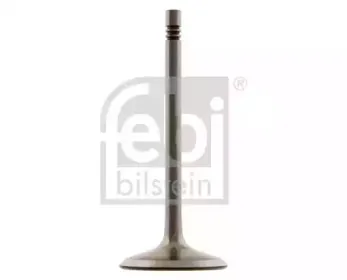 febibilstein-28463