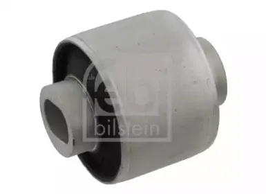 febibilstein-28488