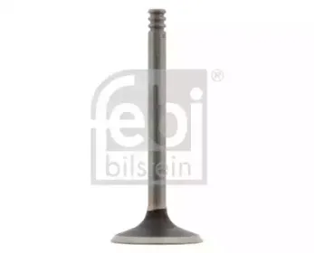 febibilstein-28546