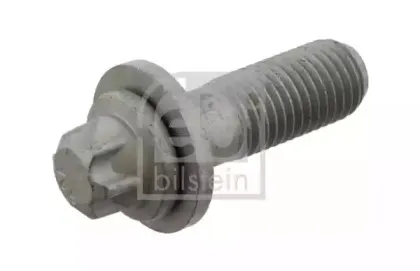 febibilstein-28622