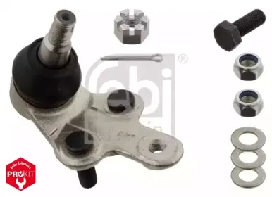febibilstein-28701