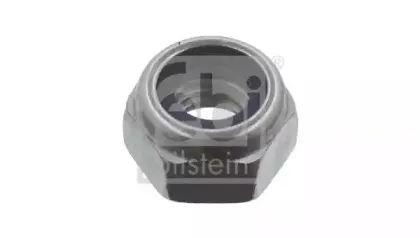 febibilstein-28702