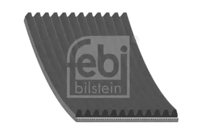 febibilstein-29119
