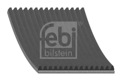 febibilstein-29121