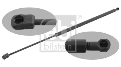 febibilstein-29257