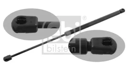 febibilstein-29292