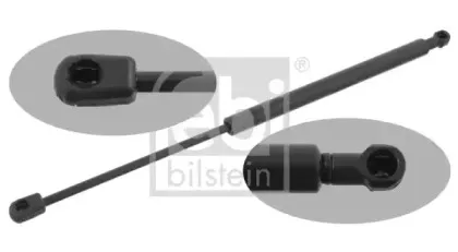 febibilstein-29294