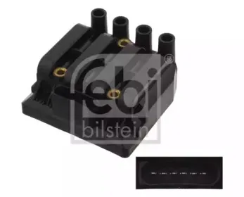 febibilstein-29319