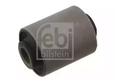 febibilstein-29375