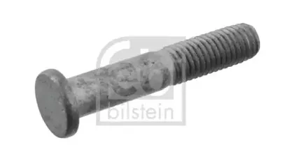 febibilstein-29460